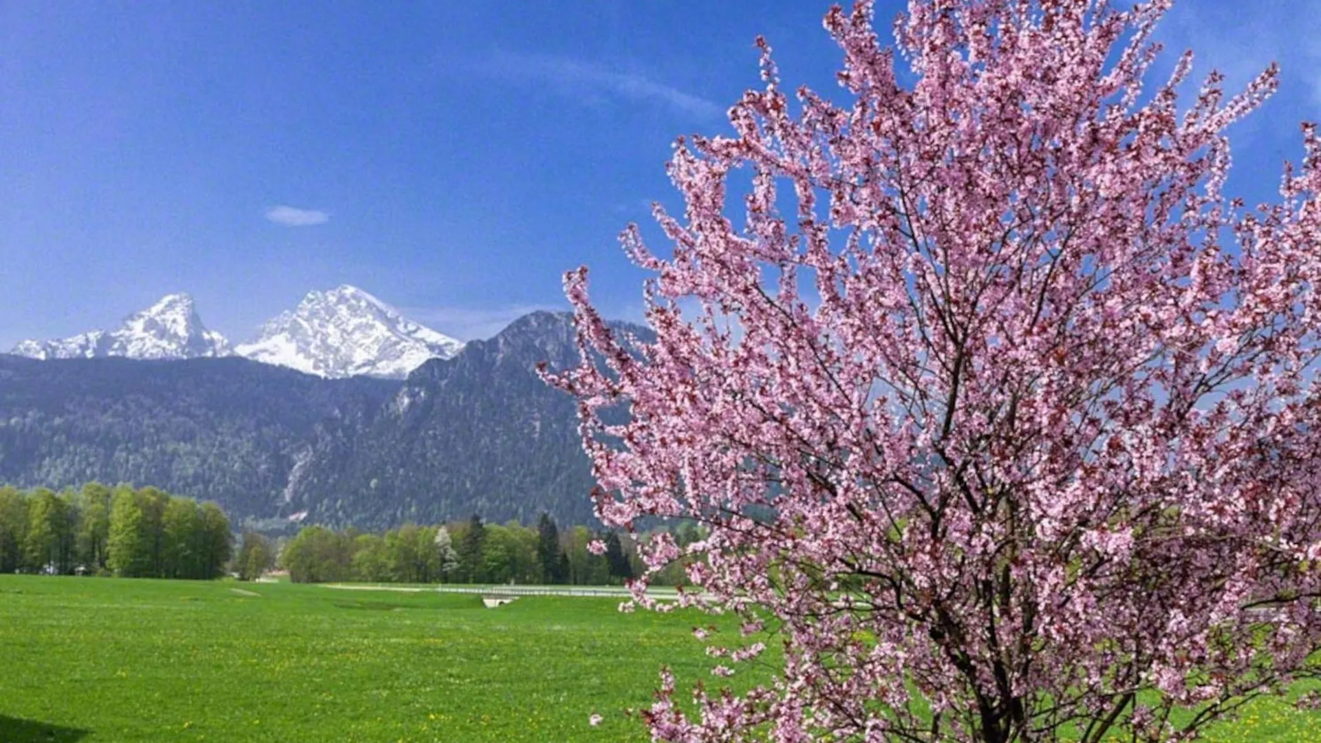 Farm stay Ferienwohnung Triembachhof Schoenau am Koenigsee