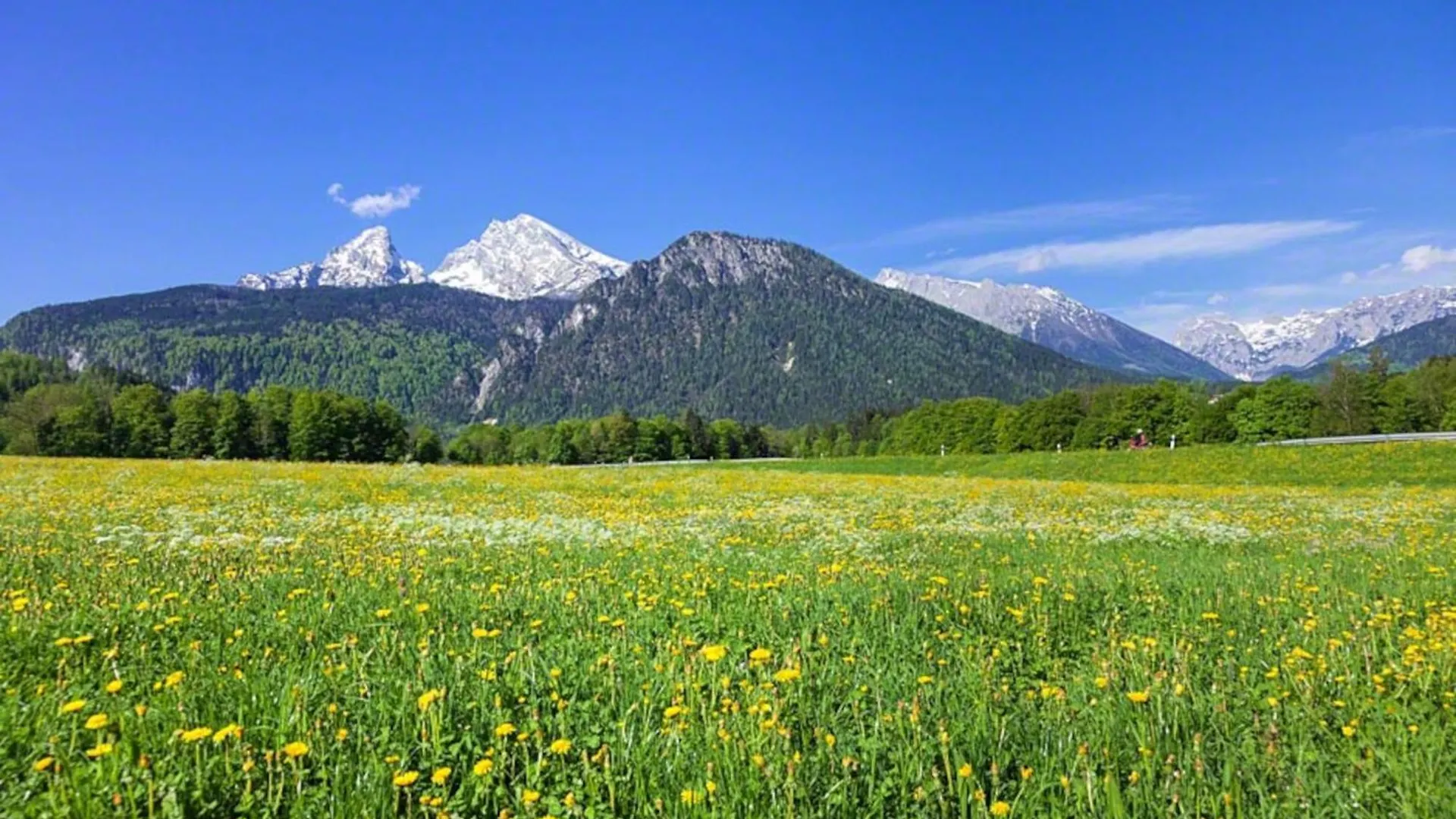 Ferienwohnung Triembachhof Schoenau am Koenigsee 0*,
